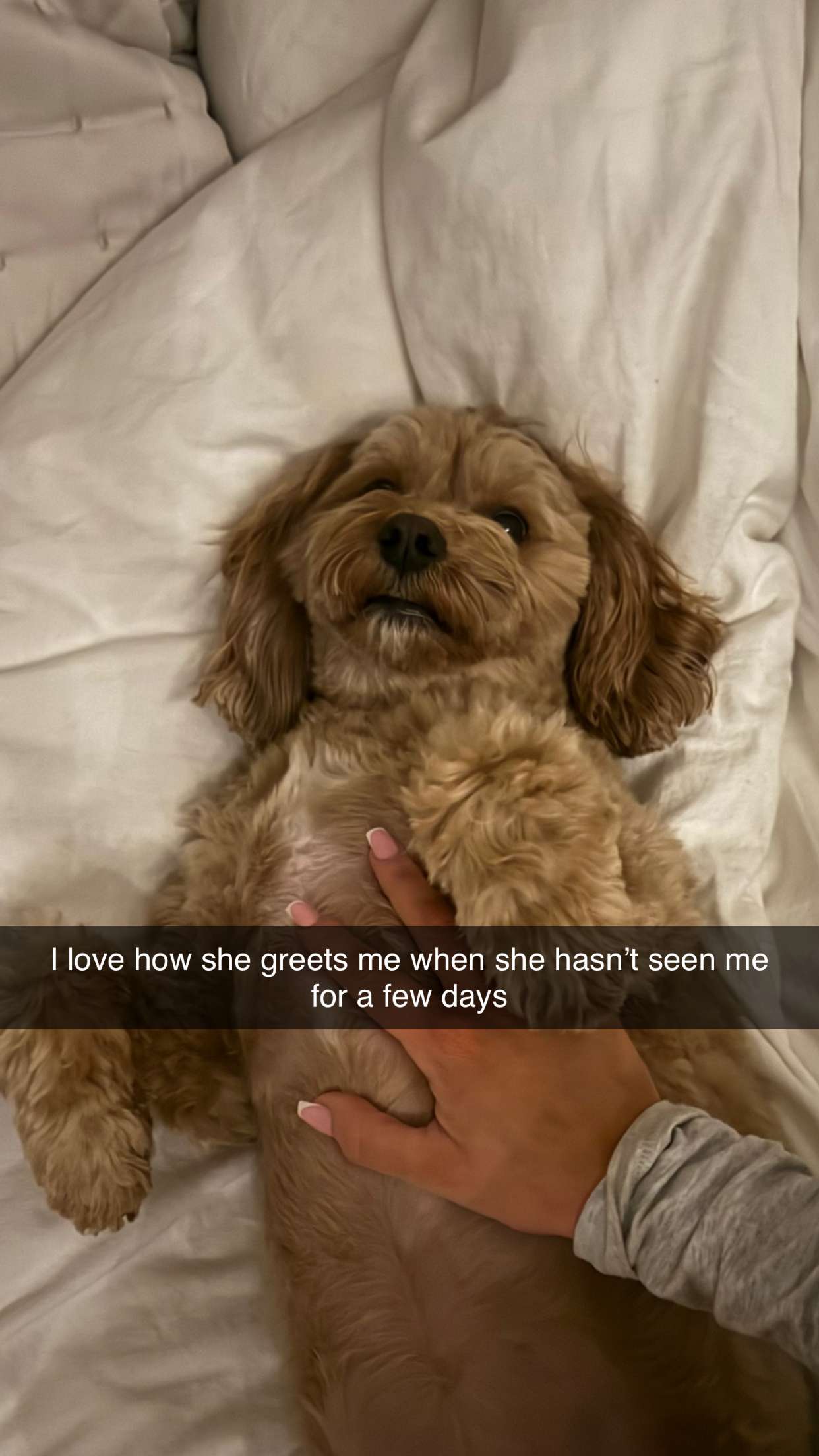 maddietaggx snapchat image archive image