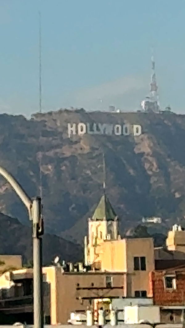 maddietaggx image ~ Altpins