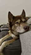 maddybelletv Altpins Profile Picture