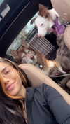 maddybelletv Altpins Profile Picture