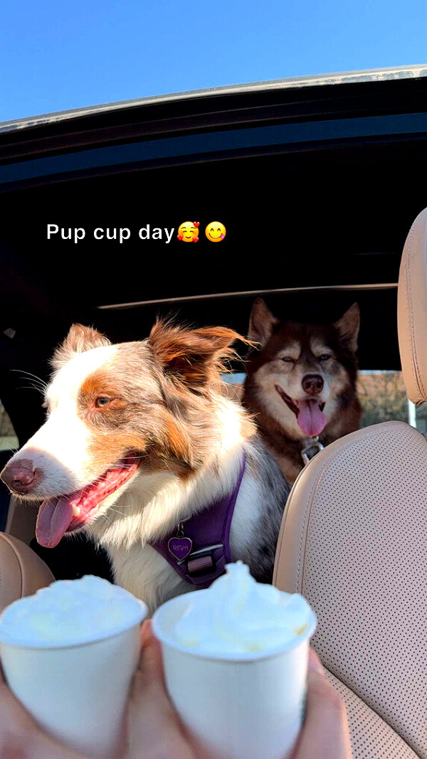 maddybelletv snapchat image archive image