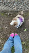maddybelletv Altpins Profile Picture