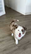 maddybelletv Altpins Profile Picture