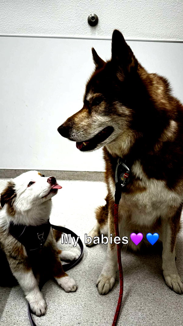 maddybelletv snapchat image archive image