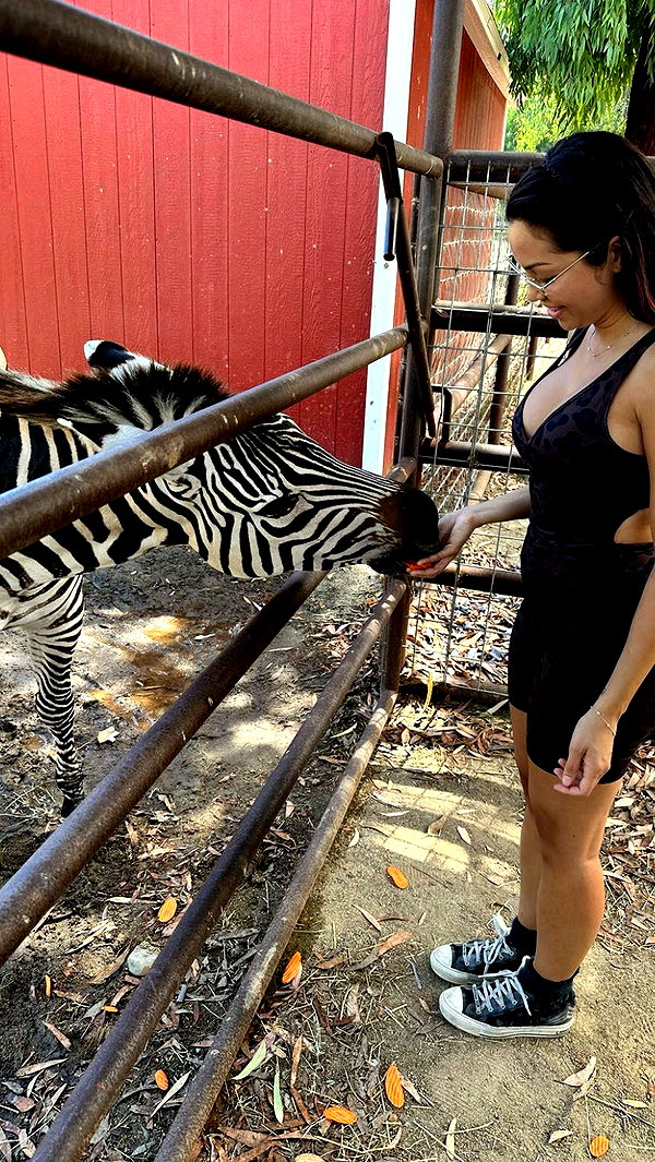 maddybelletv snapchat image archive image