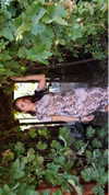 maddybelletv Altpins Profile Picture