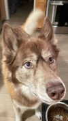 maddybelletv Altpins Profile Picture