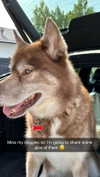 maddybelletv Altpins Profile Picture