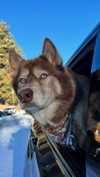 maddybelletv Altpins Profile Picture