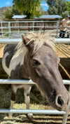 maddybelletv Altpins Profile Picture