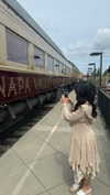 maddybelletv Altpins Profile Picture