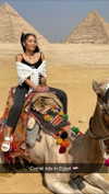 maddybelletv Altpins Profile Picture