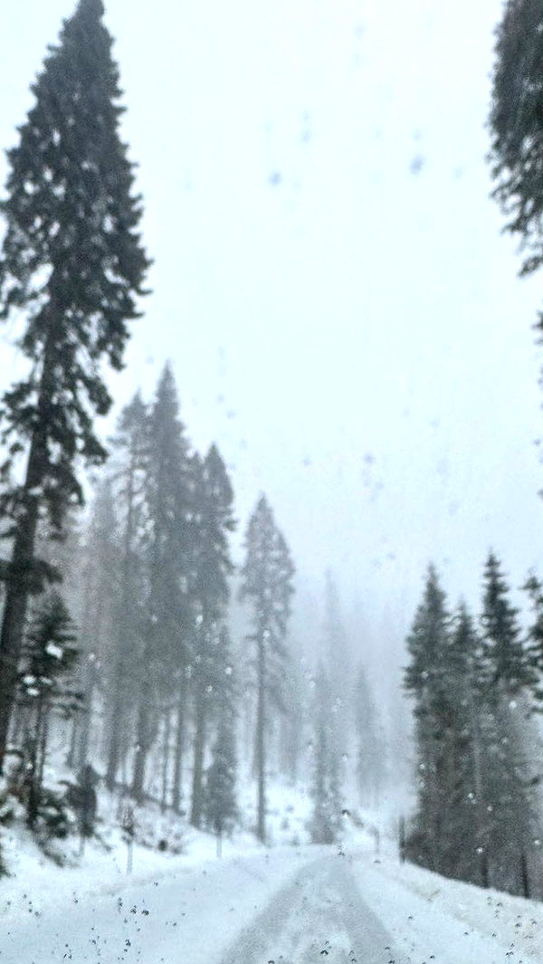 maddybelletv snapchat image archive image