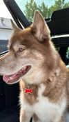 maddybelletv Altpins Profile Picture