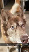 maddybelletv Altpins Profile Picture