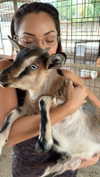 maddybelletv Altpins Profile Picture