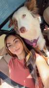 maddybelletv Altpins Profile Picture