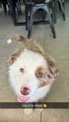 maddybelletv Altpins Profile Picture