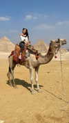 maddybelletv Altpins Profile Picture
