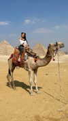 maddybelletv Altpins Profile Picture