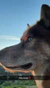 maddybelletv Altpins Profile Picture