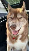maddybelletv Altpins Profile Picture