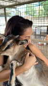 maddybelletv Altpins Profile Picture