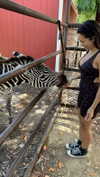 maddybelletv Altpins Profile Picture