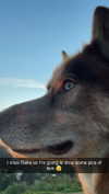 maddybelletv Altpins Profile Picture