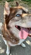 maddybelletv Altpins Profile Picture