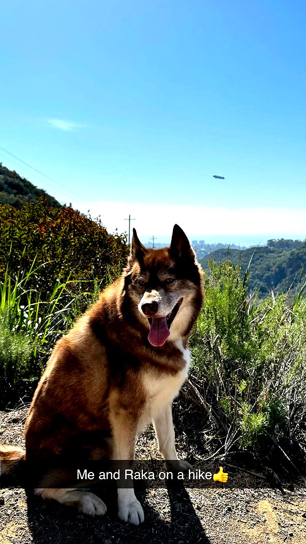 maddybelletv snapchat image archive image