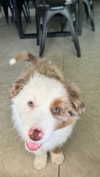 maddybelletv Altpins Profile Picture
