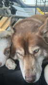maddybelletv Altpins Profile Picture