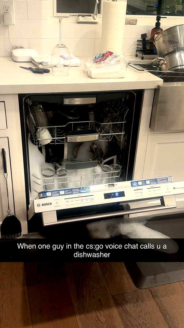 maddysine image ~ Altpins