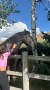 maddyy_dodd Altpins Profile Picture