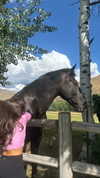 maddyy_dodd Altpins Profile Picture