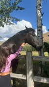 maddyy_dodd Altpins Profile Picture
