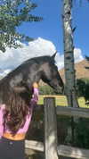 maddyy_dodd Altpins Profile Picture