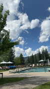 maddyy_dodd Altpins Profile Picture
