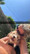 maddyy_dodd Altpins Profile Picture