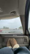 maddyy_dodd Altpins Profile Picture