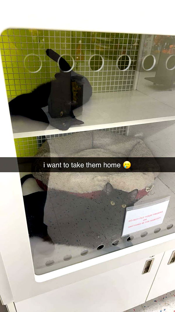 maddyy_dodd snapchat image archive image