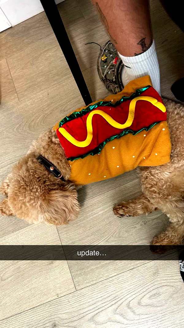 maddyy_dodd snapchat image archive image
