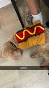 maddyy_dodd Altpins Profile Picture