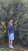 maddyy_dodd Altpins Profile Picture