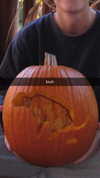 maddyy_dodd Altpins Profile Picture
