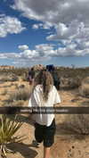 maddyy_dodd Altpins Profile Picture