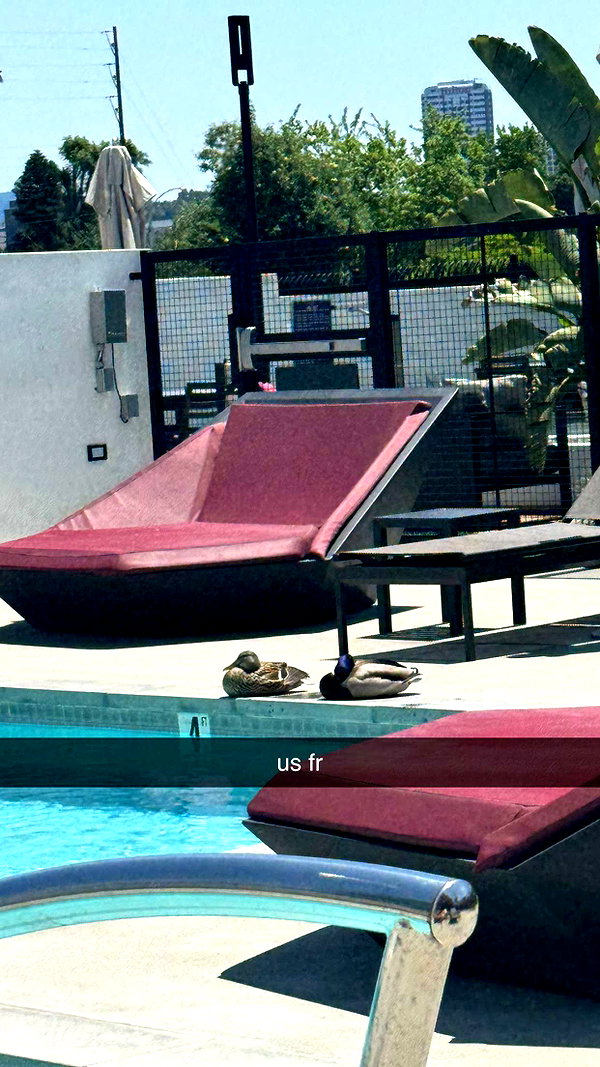 maddyy_dodd snapchat image archive image