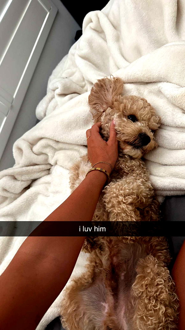 maddyy_dodd snapchat image archive image