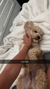 maddyy_dodd Altpins Profile Picture